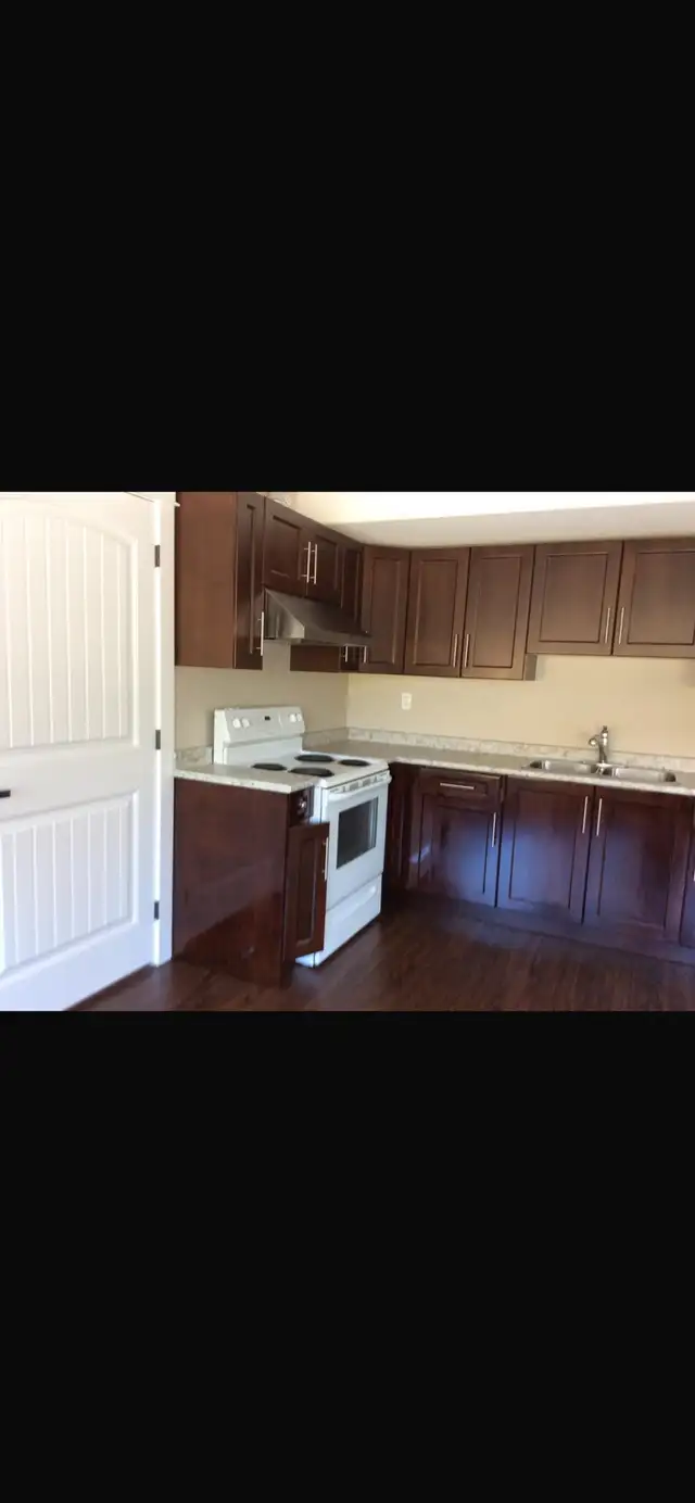 Three Bedroom Basement Suite - Photo 2
