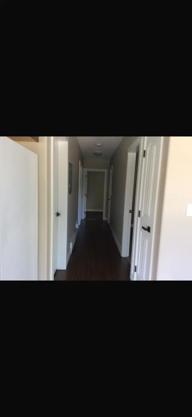 Three Bedroom Basement Suite - Photo 3