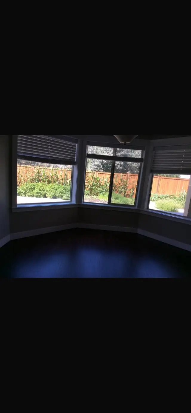 Three Bedroom Basement Suite - Photo 5
