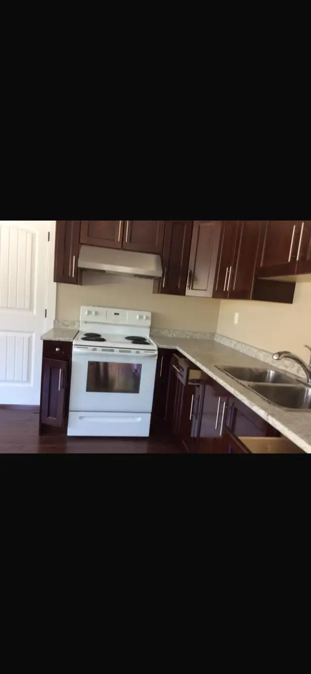Three Bedroom Basement Suite - Photo 6