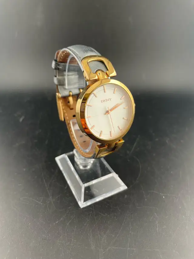 DKNY Women’s Watch 251006