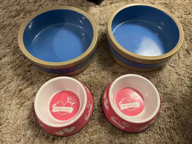Dog dishes