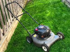 Lawnmower