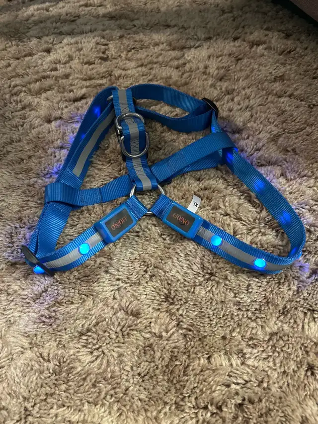 XL Dog Halter