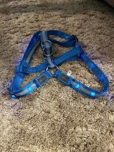 XL Dog Halter