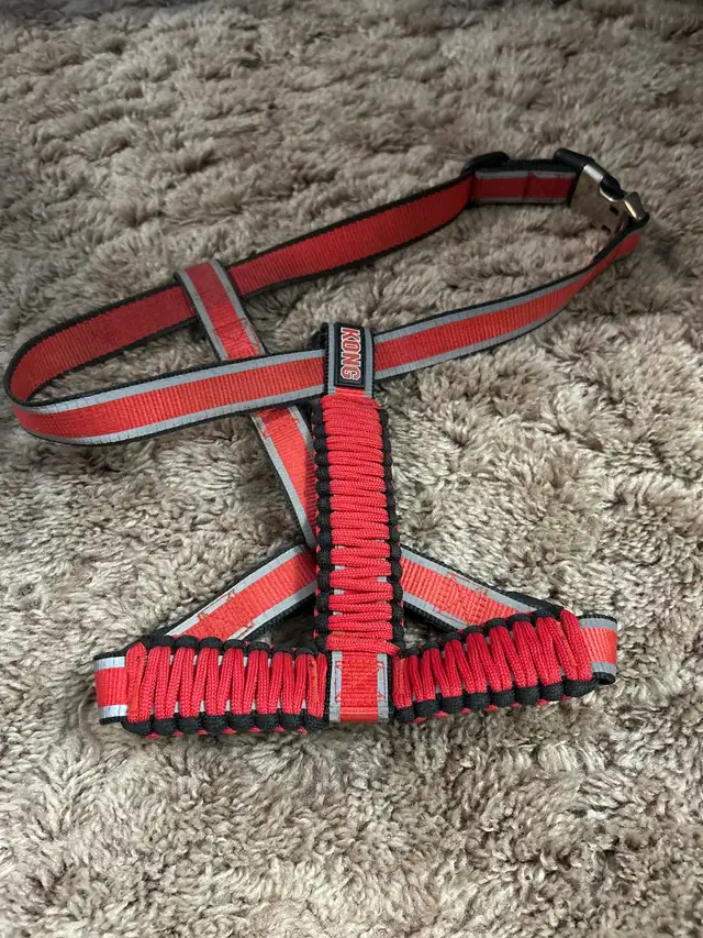 Kong large dog halter