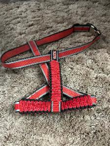 Kong large dog halter