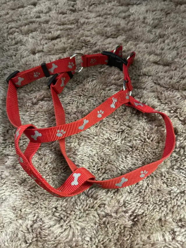 Dog halter