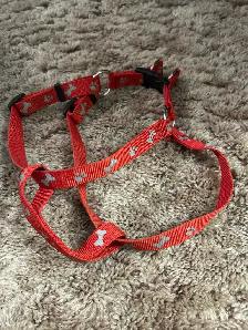 Dog halter