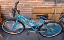 Triumph Mountain Bike