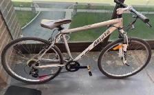 Miele Zoom Mountain Bike