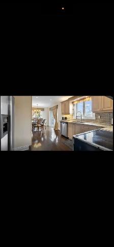Rooms-Beautiful Large Luxury Home for Rent – Rooms for Students - Photo 7