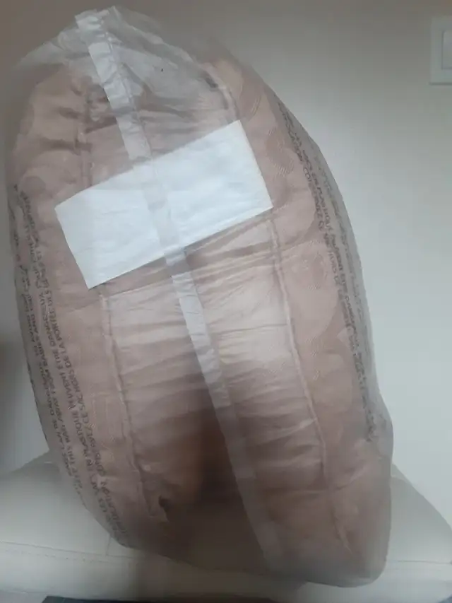 BRAND NEW (Never used) Two Pilows