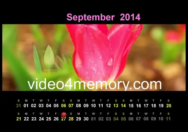 ①London Photography-Videography: Starts From $700-4hrs - Photo 3