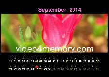 ①London Photography-Videography: Starts From $700-4hrs - Photo 3