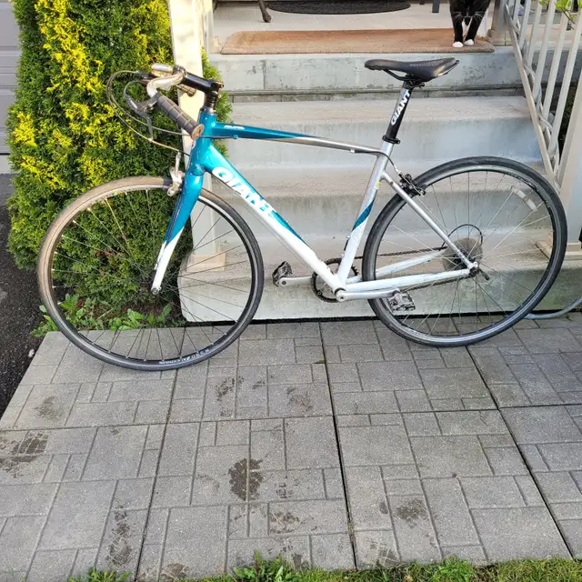 Giant Avail Hybrid/commuter bike