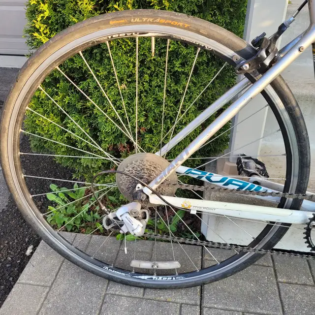 Giant Avail Hybrid/commuter bike - Photo 4