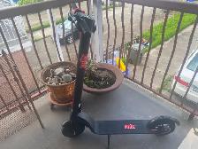 Cruz Scooter