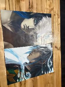 2 posters