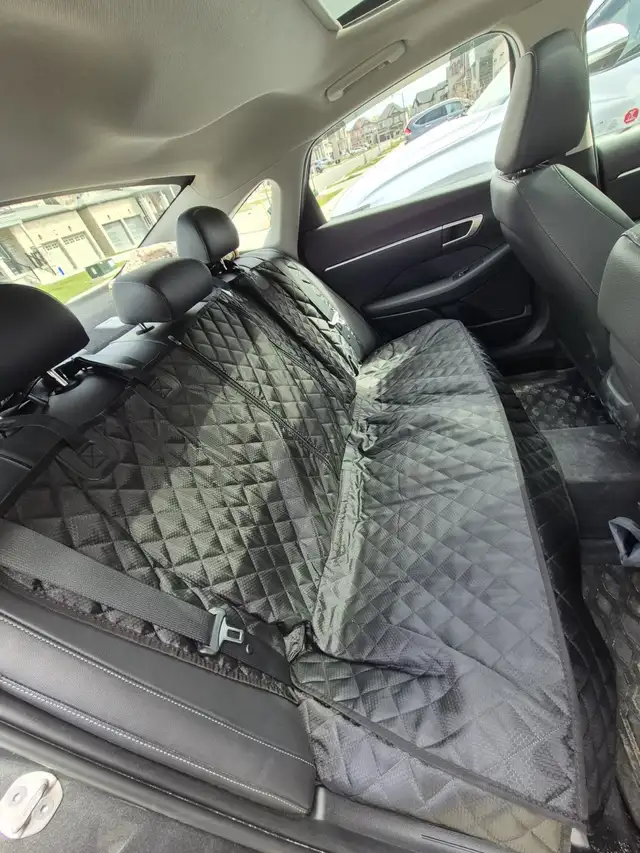 Premium Long Distance Private & Rideshare driver - 2025 SONATA - Photo 6