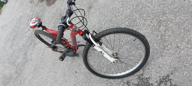 Mountain Bike - Photo 3