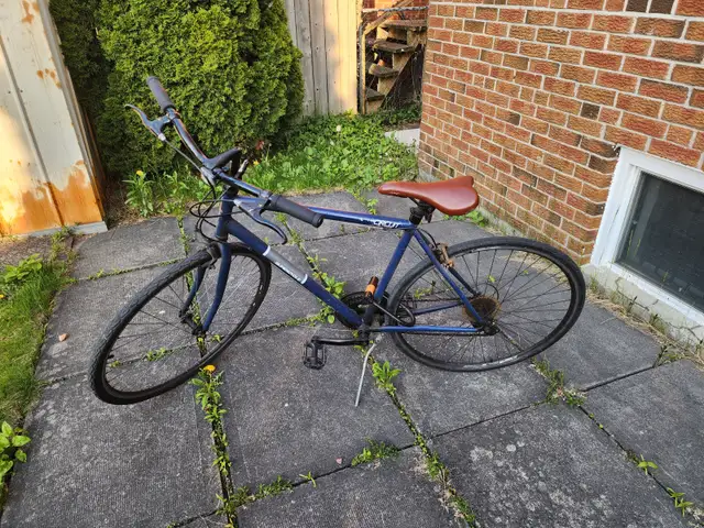 Lightweight Bicycle