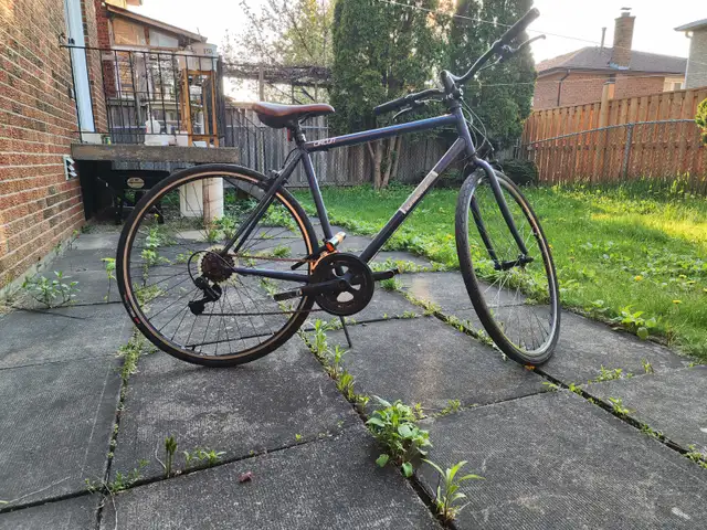 Lightweight Bicycle - Photo 2
