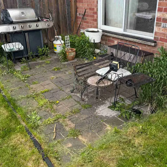 Spring clean up