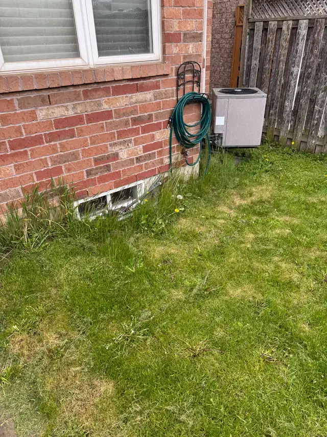 Spring clean up - Photo 3