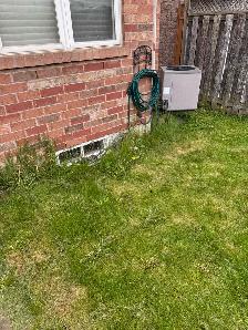 Spring clean up - Photo 3