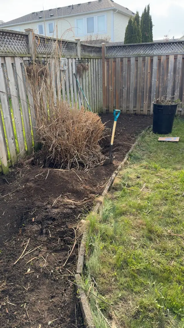 Spring clean up - Photo 4