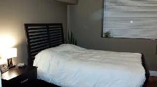 Condo for Rent,  695 Richmond - Photo 5