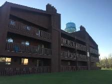 1 Bdrm, Main Fl, No Stairs, In Suite Laundry, Quiet Adult Bldg,