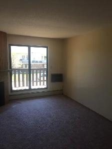 1 Bdrm, Main Fl, No Stairs, In Suite Laundry, Quiet Adult Bldg, - Photo 4