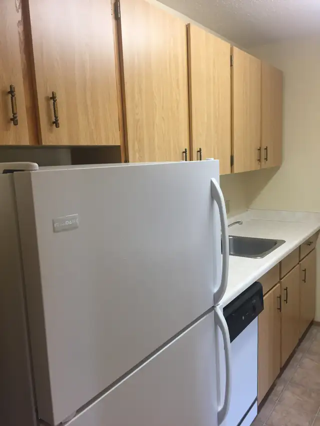 1 Bdrm, Main Fl, No Stairs, In Suite Laundry, Quiet Adult Bldg, - Photo 5