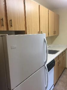 1 Bdrm, Main Fl, No Stairs, In Suite Laundry, Quiet Adult Bldg, - Photo 5