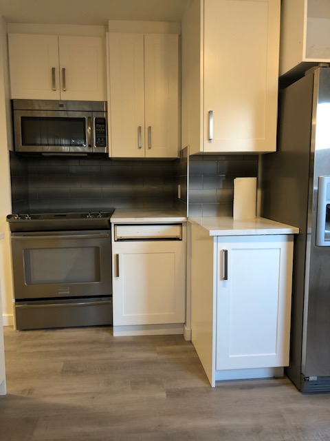 RENOVATED PARKDALE HOME – 5-MIN WALK TO FMC _June 1 available - Photo 4