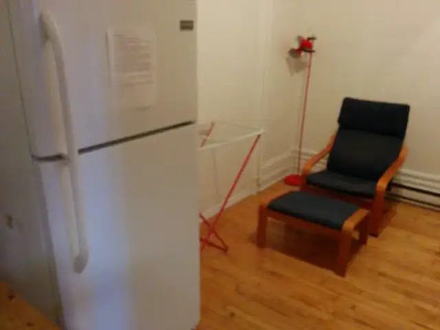 DT new renovated 41/2 Apartment for rent - Photo 4