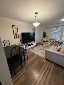 New House Rental 3 Bedroom in Brampton/ Mississauga