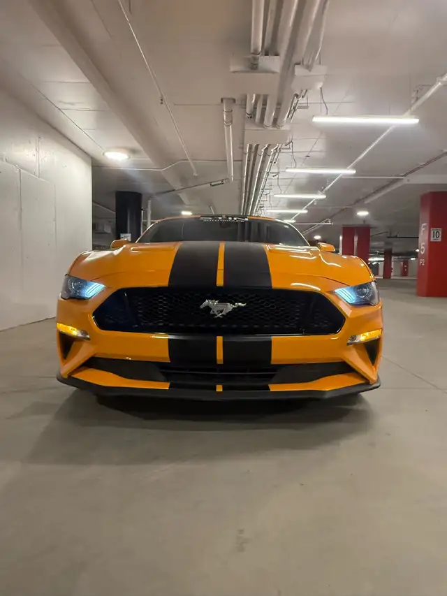 MUSTANG GT "fury orange"
