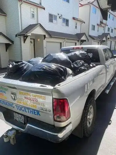 JUNK REMOVAL