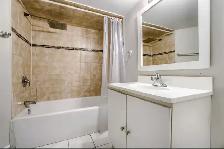 1 Bed 1 Bath Basement for rent - Photo 2