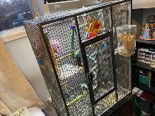 Beautiful bonded budgies with large cage and accessories - Photo 5