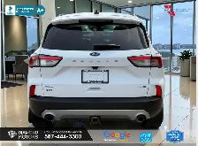 2020 Ford Escape SEL AWD - Leather - AWD - Photo 10