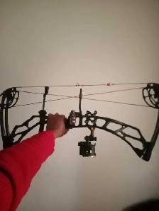 full custom elite valour bow, hope you love it!