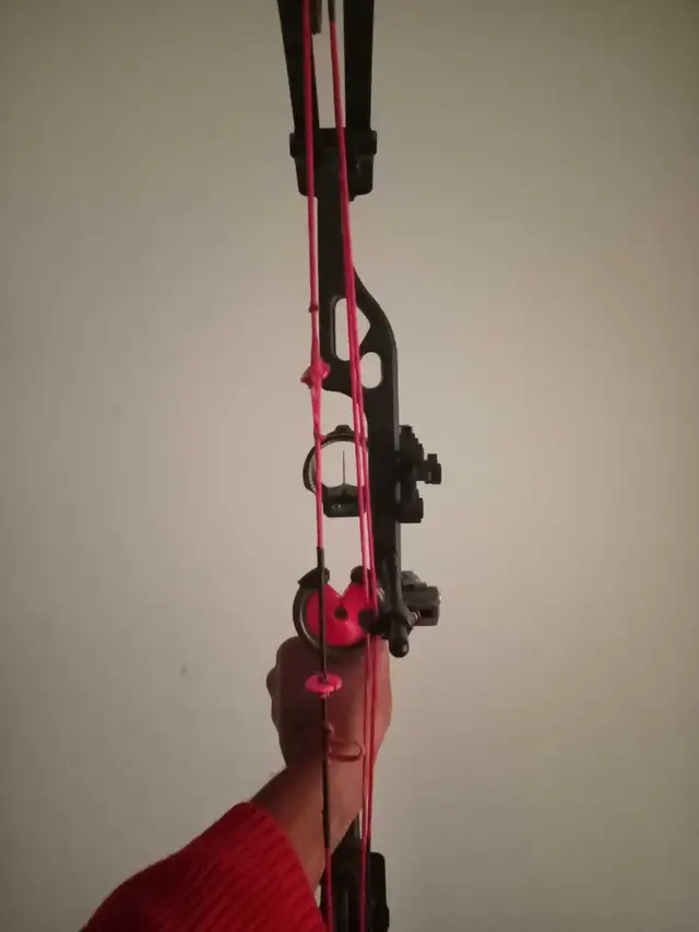 full custom elite valour bow, hope you love it! - Photo 4