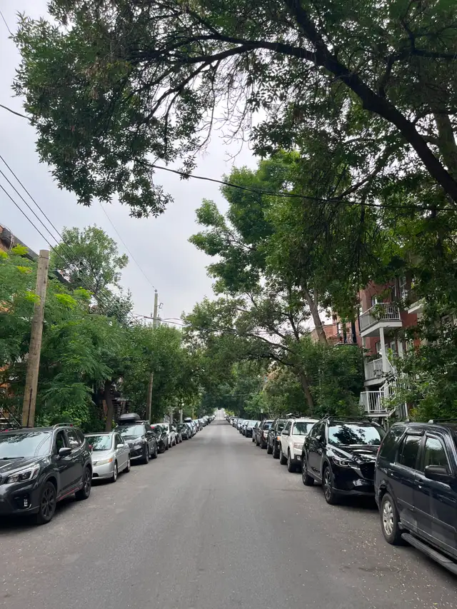 6 1/2 - Renové - Hochelaga - Photo 7