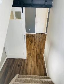 2 Bedroom Basement- Available to Rent from June 2026