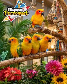 ❤️❤️ Bébé Conure Soleil disponible @L'Espace Perroquet ❤️❤️ - Photo 2