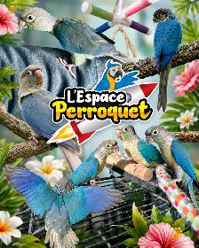❤️❤️ Bébé Conure Violette disponible @L'Espace Perroquet ❤️❤️